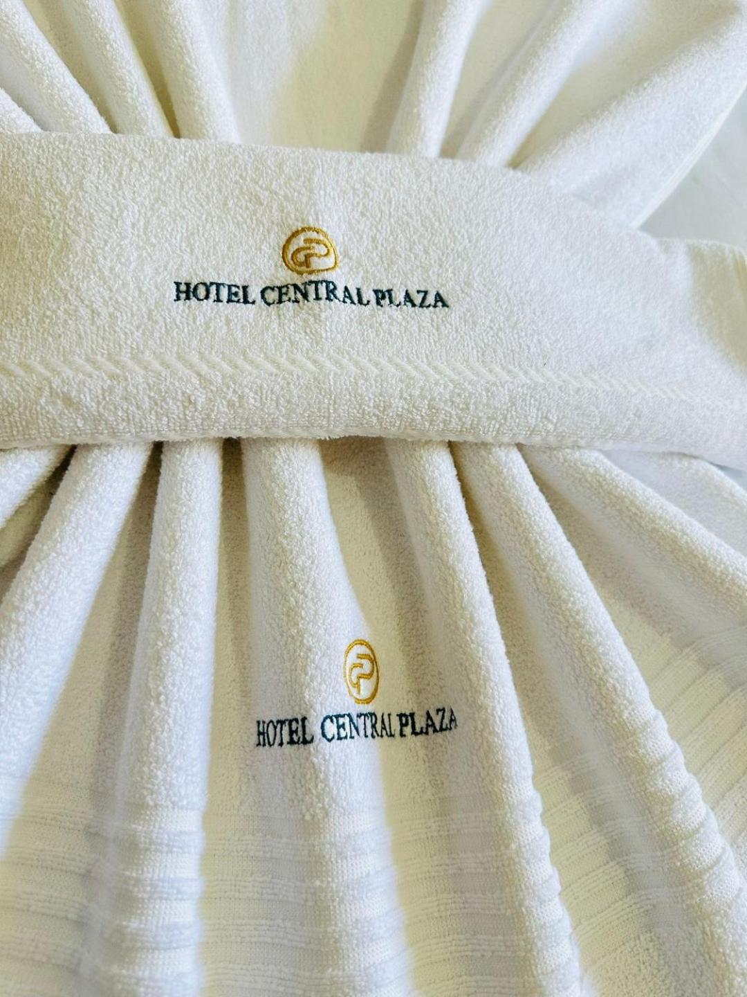 Hotel Central Plaza Timoteo Exterior photo